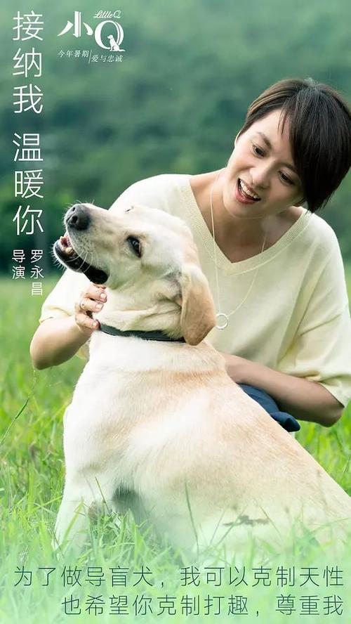 幼儿园园长任职资格培训证书